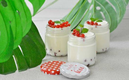 Obrázok ku článku Recept: Domáci grécky jogurt